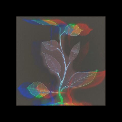 From a little seed album art