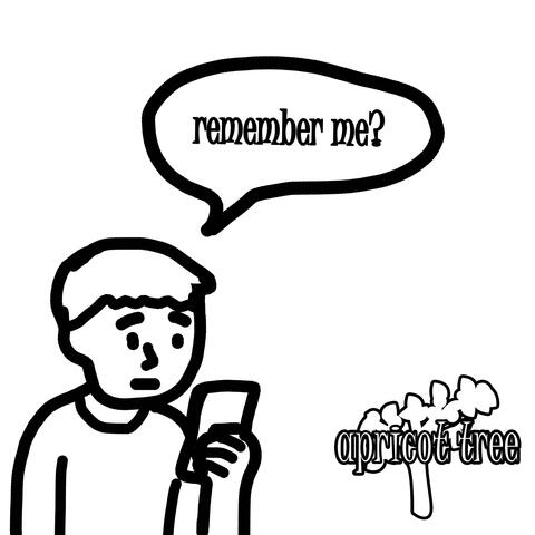 Remember Me album art