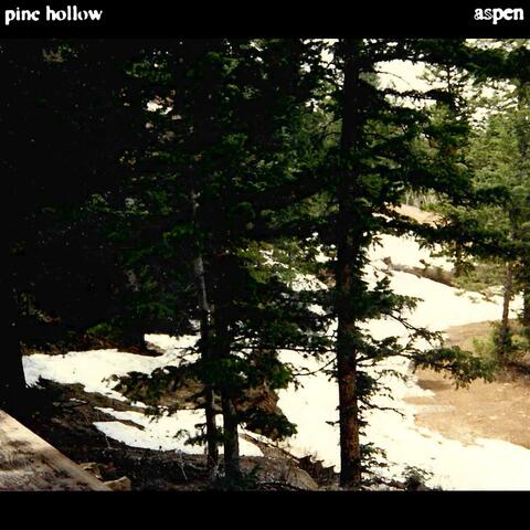 aspen album art