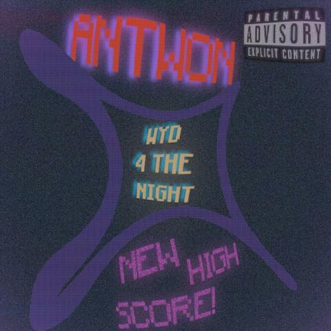 WYD 4 The Night album art