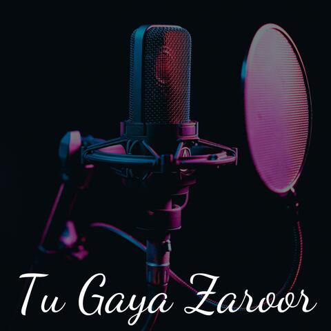 Tu Gaya Zaroor album art