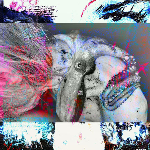 Circa 08-08 album art