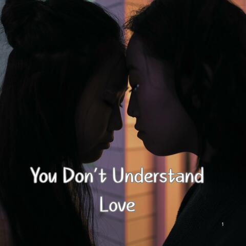 You Don’t Understand Love album art