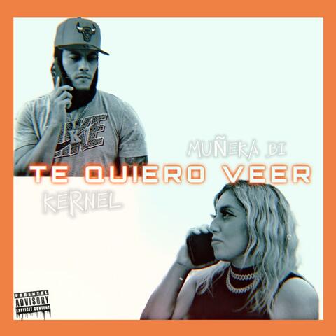 Te Quiero Veer (feat. KerneL) album art