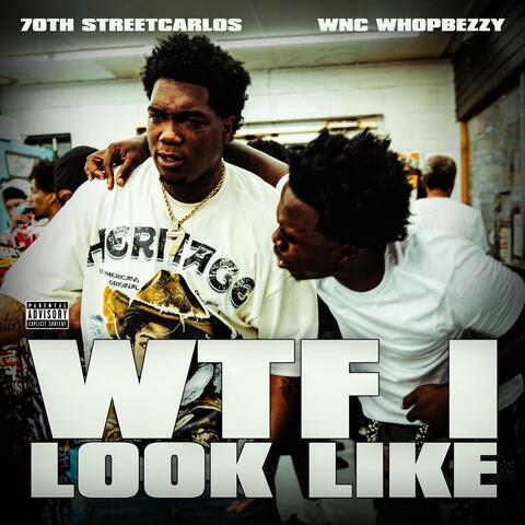 Wtf i look like (feat. 70thstreetcarlos) album art