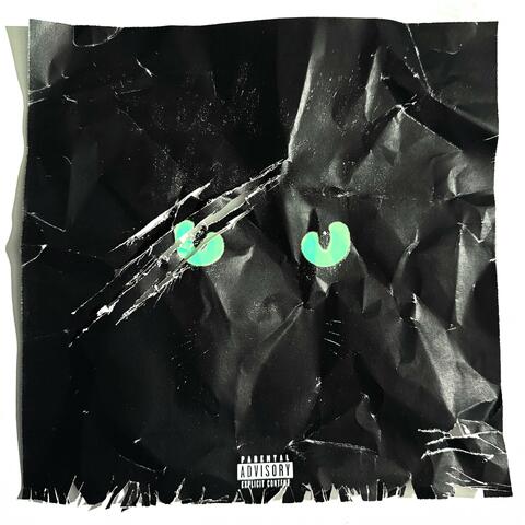 Catch Me If You Can (The Remixes) album art