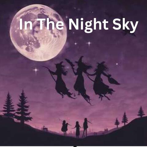 In the night sky album art