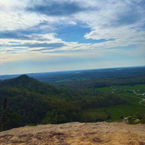 face it (feat. Lil Skele) album art