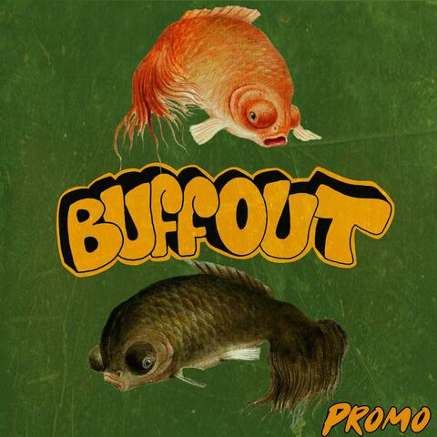 Promo album art