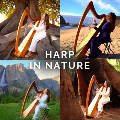 Harp in Nature album art