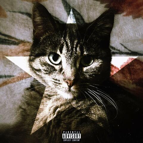 Drugs, Pearls, Diamonds, Chanel album art