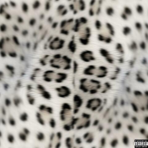 Rain! album art
