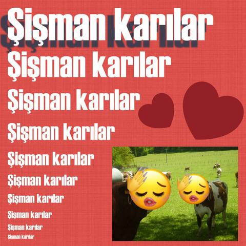 Şişman Karılar (feat. İlk Abi & İtoğlu it) album art