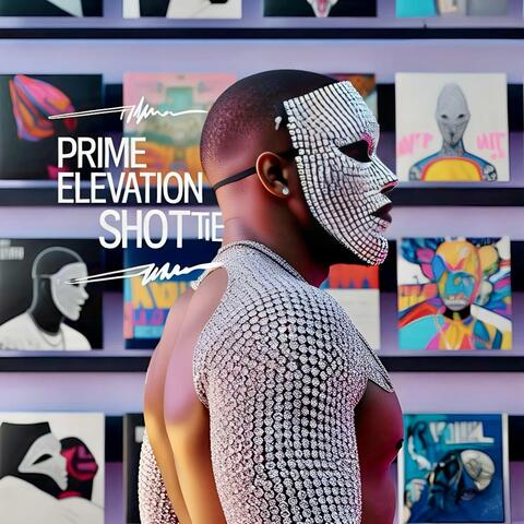 Prime Elevation II album art
