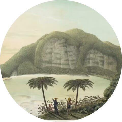 Tortoise & the Hare album art