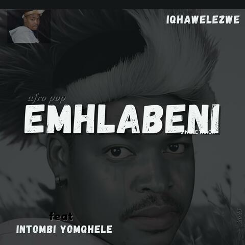 EMHLABENI (feat. Intombi yomqhele) [Radio Edit] album art