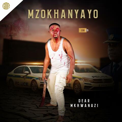 DEAR MKHWANAZI album art