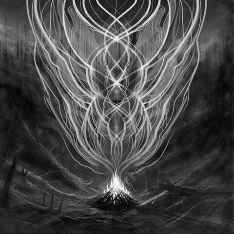 Verwilderd album art