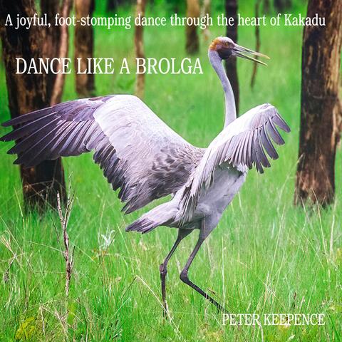 DANCE LIKE A BROLGA album art