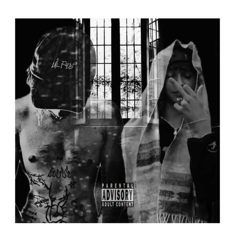 křídla (feat. Wincius) album art