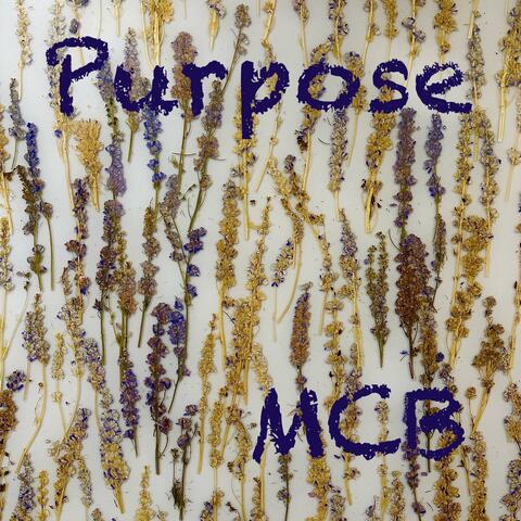 Purpose album art