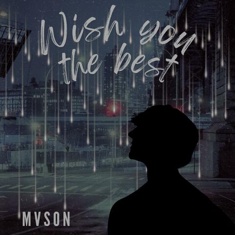 Wish you the best album art