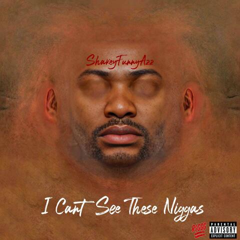 i Cant See These niggas album art