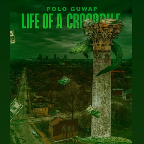 Life Of A Crocodile album art