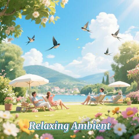 Morning Brews & Quiet Views album art