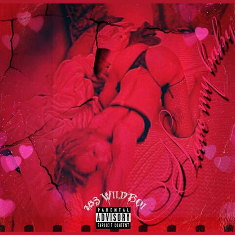 Have My Baby album art