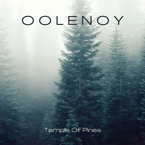 Temple Of Pines album art