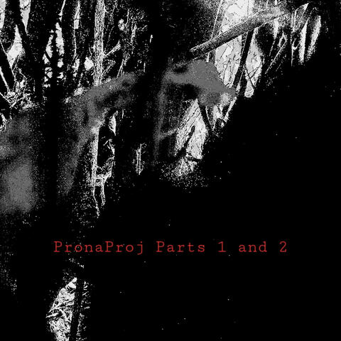 PronaProj 1 + 2 album art