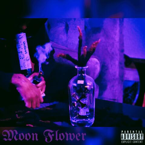 Moon Flower album art
