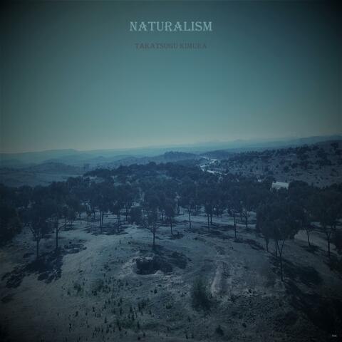 Naturalism album art
