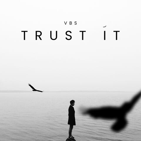 Trust it album art