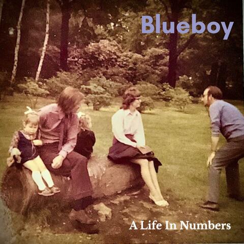 A Life in Numbers album art