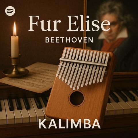 Für Elise album art
