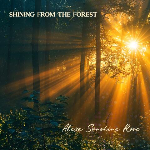 Shining From the Forest album art