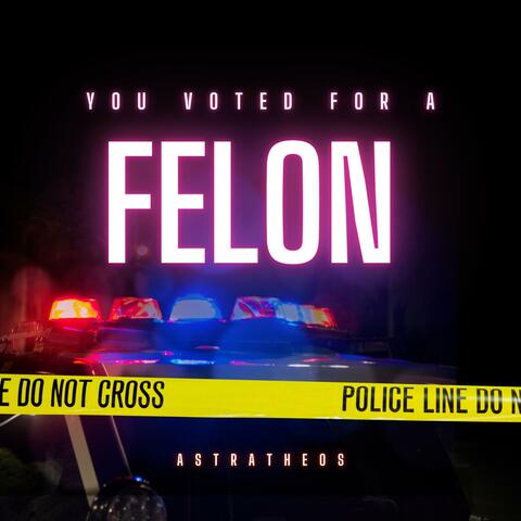 Voted For A Felon album art
