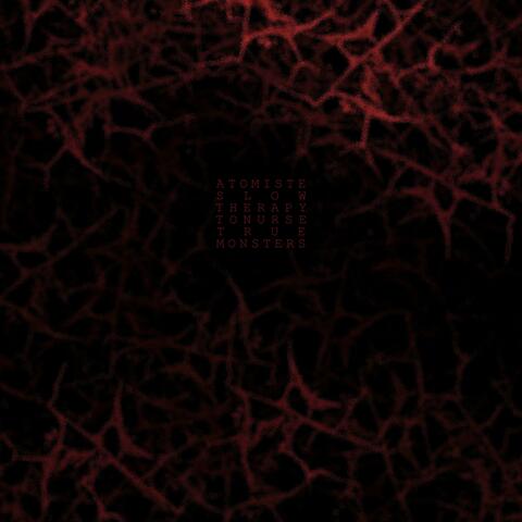 Slow Therapy to Nurse True Monsters album art