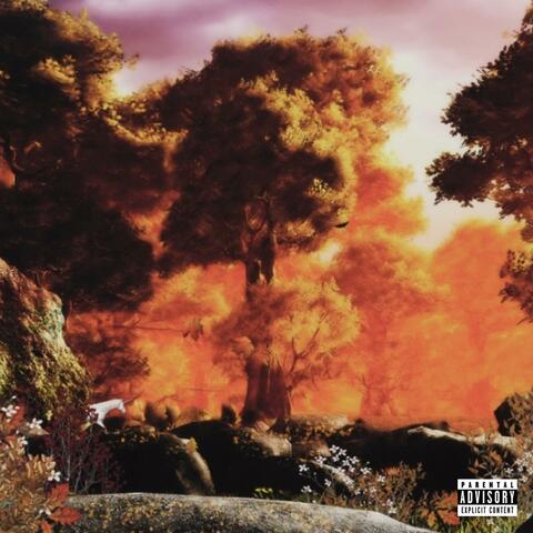 Commercial Break. album art