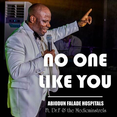 No one like you (feat. Dr.F & Medicminstrels) album art
