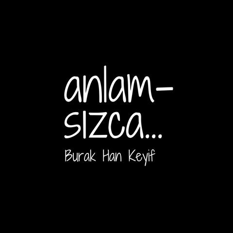ANLAMSIZCA album art