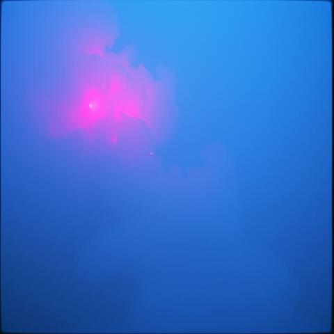 Cradleberry album art