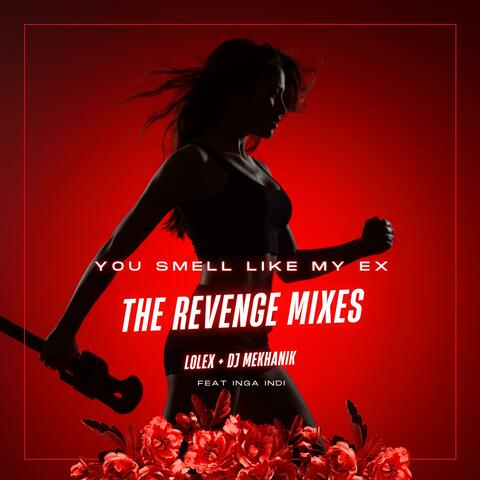 You Smell Like My Ex (The Revenge Mixes) album art