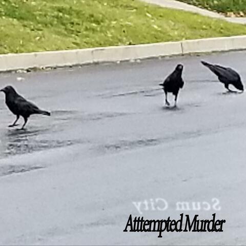 Attempted Murder album art