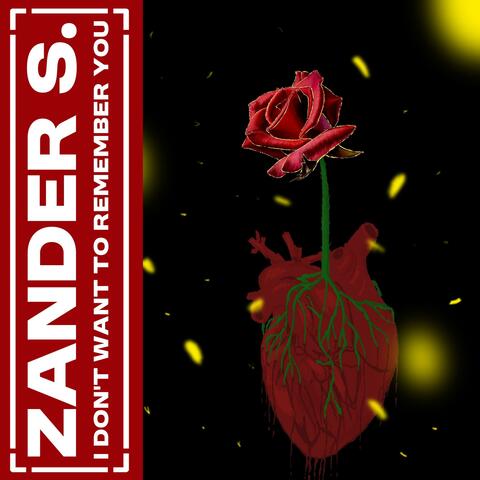 I Don't Want To Remember You album art