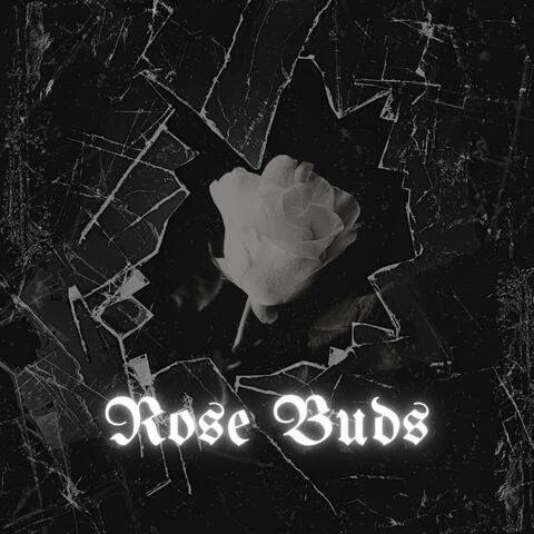 ROSE BUDS album art