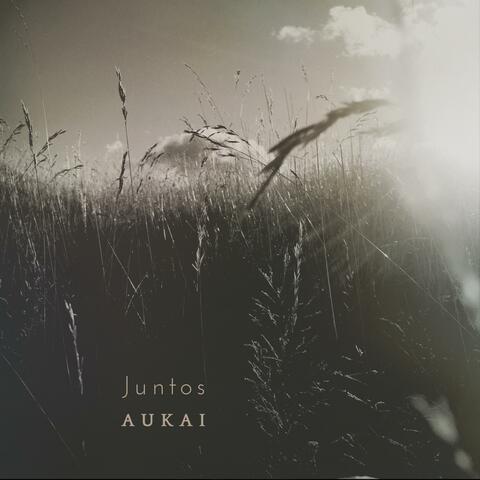 Juntos album art
