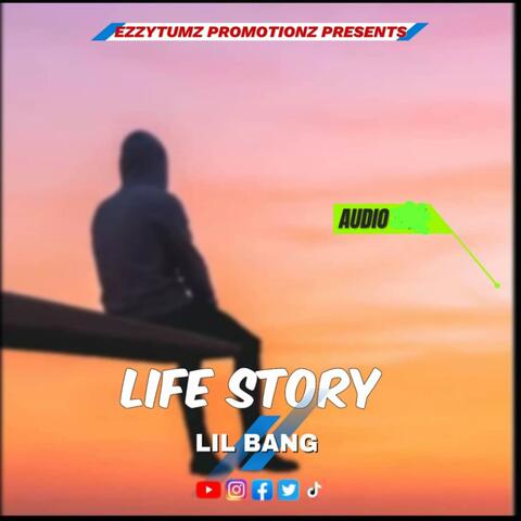 Life Story album art